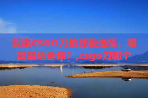 探索CSGO刀的终极选择，哪款最适合你？,csgo刀哪个最耐玩