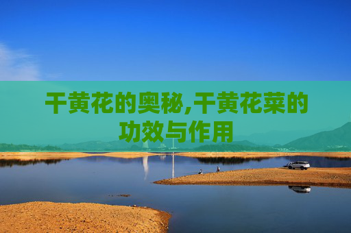 干黄花的奥秘,干黄花菜的功效与作用