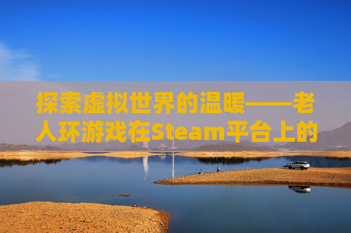 探索虚拟世界的温暖——老人环游戏在Steam平台上的复兴,老人环是什么游戏