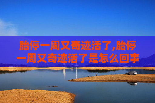 胎停一周又奇迹活了,胎停一周又奇迹活了是怎么回事?产检的时候