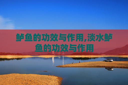 鲈鱼的功效与作用,淡水鲈鱼的功效与作用