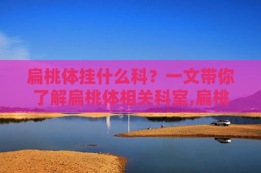 扁桃体挂什么科？一文带你了解扁桃体相关科室,扁桃体挂什么科室