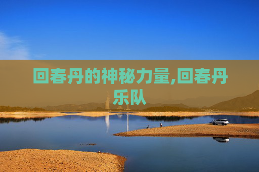 回春丹的神秘力量,回春丹乐队