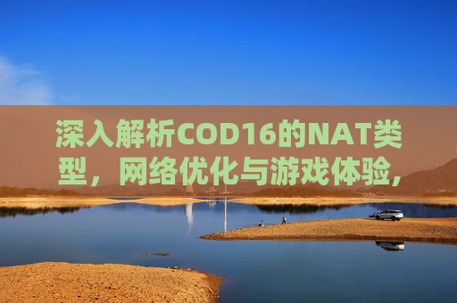 深入解析COD16的NAT类型，网络优化与游戏体验,cod16nat类型公开