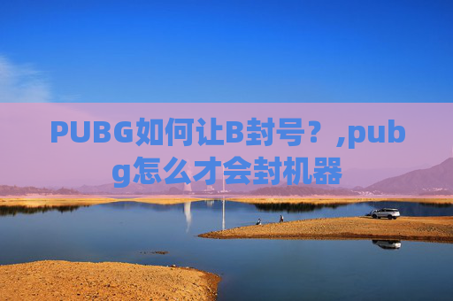 PUBG如何让B封号？,pubg怎么才会封机器