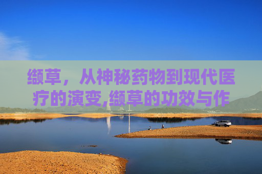 缬草，从神秘药物到现代医疗的演变,缬草的功效与作用