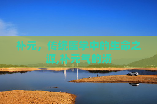 补元，传统医学中的生命之源,补元气的汤