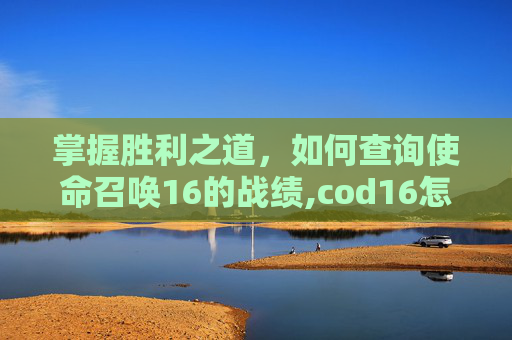 掌握胜利之道，如何查询使命召唤16的战绩,cod16怎么看自己战绩