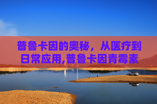普鲁卡因的奥秘，从医疗到日常应用,普鲁卡因青霉素的作用