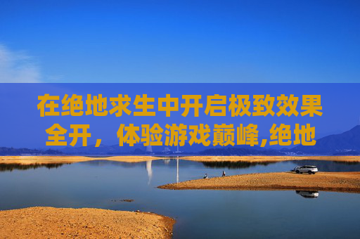 在绝地求生中开启极致效果全开，体验游戏巅峰,绝地求生效果全开电脑配置