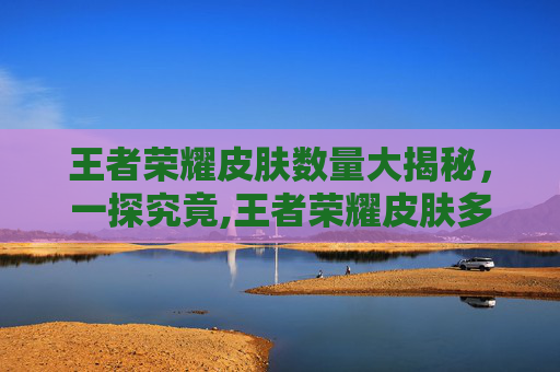 王者荣耀皮肤数量大揭秘，一探究竟,王者荣耀皮肤多少个一共