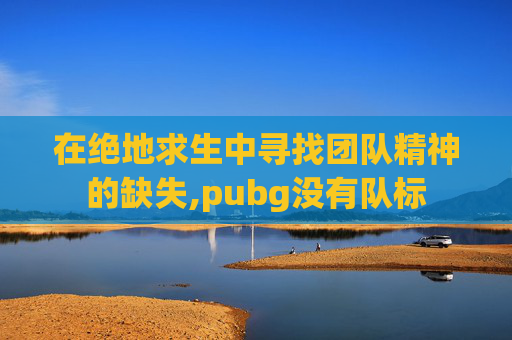 在绝地求生中寻找团队精神的缺失,pubg没有队标
