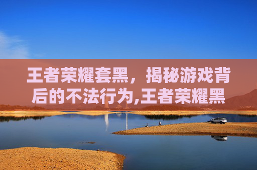 王者荣耀套黑，揭秘游戏背后的不法行为,王者荣耀黑色系列皮肤