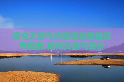 探究天然气价格波动的经济学因素,杭州天然气单价