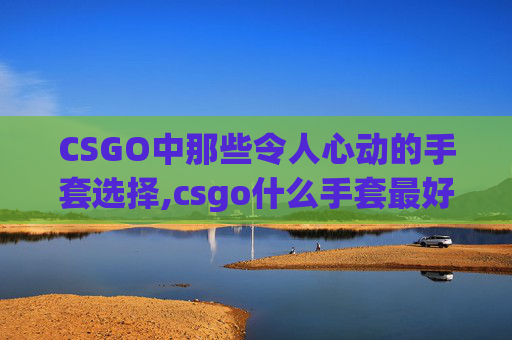 CSGO中那些令人心动的手套选择,csgo什么手套最好看