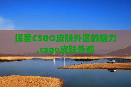 探索CSGO皮肤外区的魅力,csgo皮肤外观