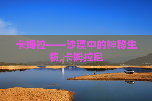 卡姆拉——沙漠中的神秘生物,卡姆拉尼