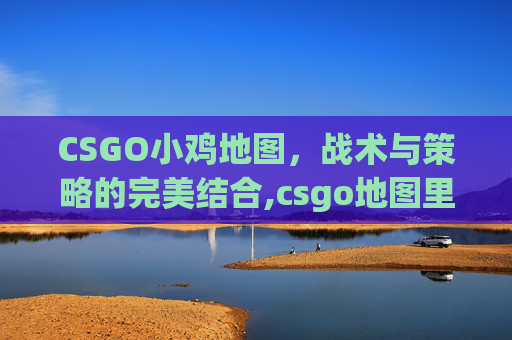 CSGO小鸡地图，战术与策略的完美结合,csgo地图里的鸡