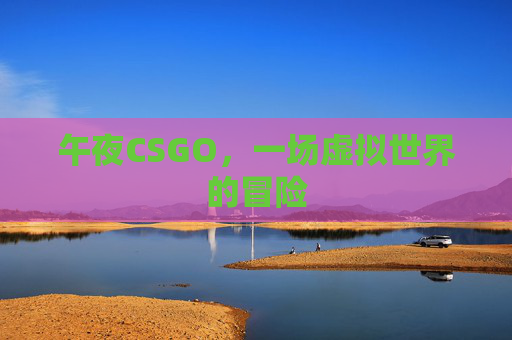 午夜CSGO，一场虚拟世界的冒险