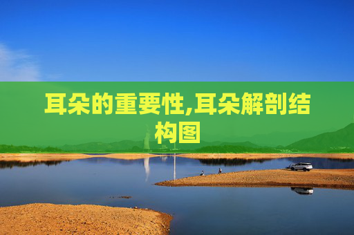 耳朵的重要性,耳朵解剖结构图