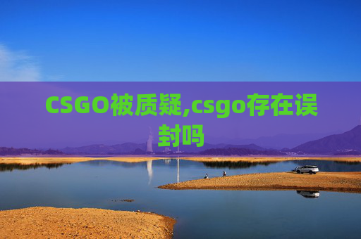 CSGO被质疑,csgo存在误封吗