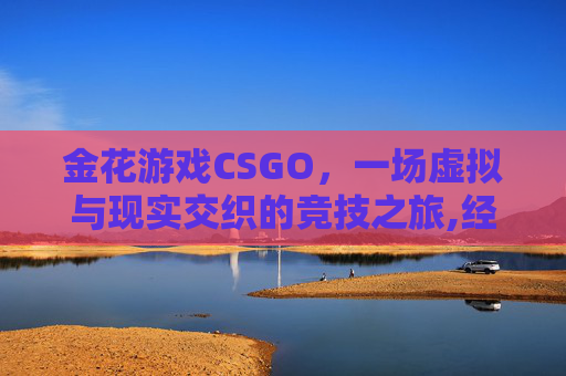金花游戏CSGO，一场虚拟与现实交织的竞技之旅,经典炸金花游戏