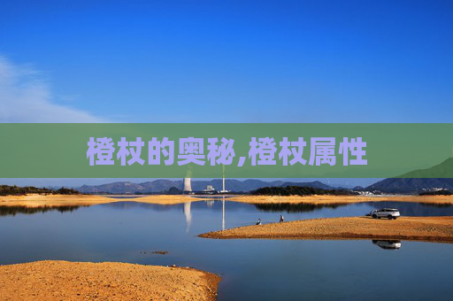 橙杖的奥秘,橙杖属性