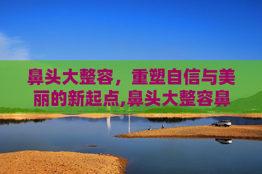 鼻头大整容，重塑自信与美丽的新起点,鼻头大整容鼻头整形术图片