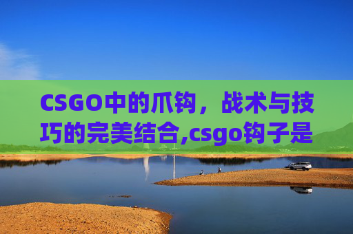 CSGO中的爪钩，战术与技巧的完美结合,csgo钩子是什么意思