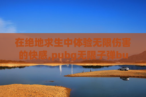 在绝地求生中体验无限伤害的快感,pubg无限子弹bug