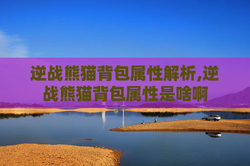 逆战熊猫背包属性解析,逆战熊猫背包属性是啥啊