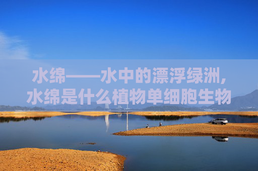 水绵——水中的漂浮绿洲,水绵是什么植物单细胞生物吗