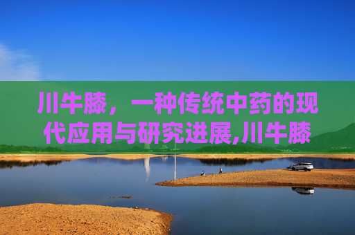 川牛膝，一种传统中药的现代应用与研究进展,川牛膝与怀牛膝的功效区别