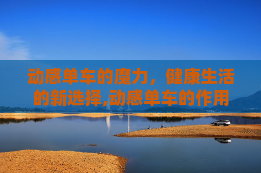 动感单车的魔力，健康生活的新选择,动感单车的作用和好处与坏处