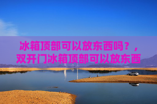 冰箱顶部可以放东西吗？,双开门冰箱顶部可以放东西吗