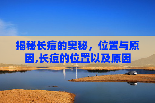 揭秘长痘的奥秘，位置与原因,长痘的位置以及原因