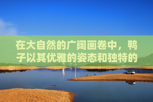 在大自然的广阔画卷中，鸭子以其优雅的姿态和独特的游泳方式，成为了众多鸟类中的佼佼者。它们不仅能够在水中自由翱翔，更有着令人惊叹的游泳技巧。本文将带您领略鸭子游泳的魅力，探索这一奇妙的自然现象。,鸭子游泳扩句