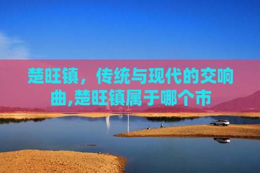楚旺镇，传统与现代的交响曲,楚旺镇属于哪个市