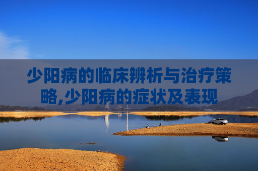 少阳病的临床辨析与治疗策略,少阳病的症状及表现
