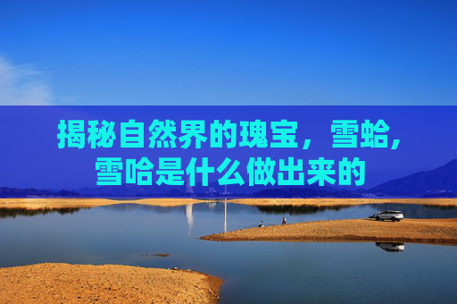 揭秘自然界的瑰宝，雪蛤,雪哈是什么做出来的