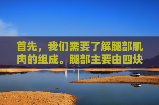 首先，我们需要了解腿部肌肉的组成。腿部主要由四块主要肌肉构成，股四头肌、股二头肌、半腱肌和半膜肌。这些肌肉的发达程度直接影响到腿部的粗细。因此，要想瘦腿，就要有针对性地锻炼这些肌肉。,瘦腿技巧三个动作
