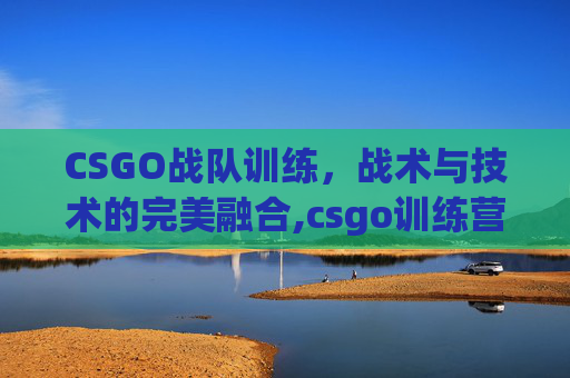CSGO战队训练，战术与技术的完美融合,csgo训练营叫什么