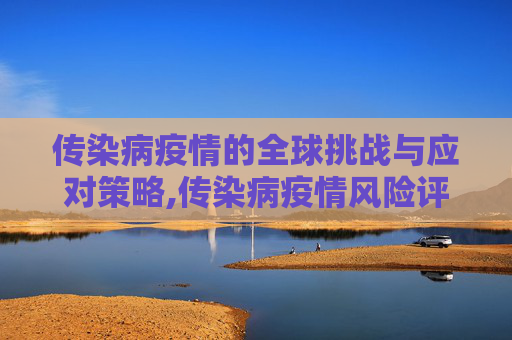 传染病疫情的全球挑战与应对策略,传染病疫情风险评估管理办法
