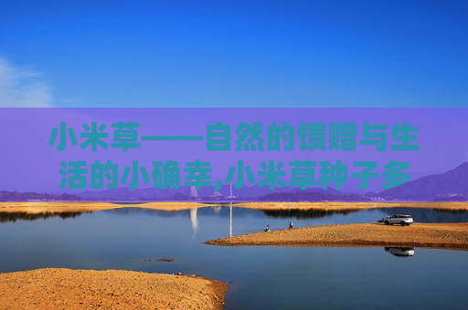 小米草——自然的馈赠与生活的小确幸,小米草种子多少钱一斤