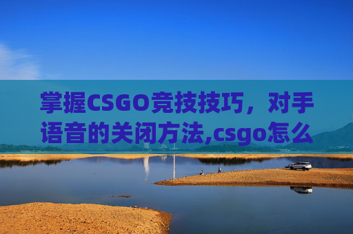 掌握CSGO竞技技巧，对手语音的关闭方法,csgo怎么取消队友语音