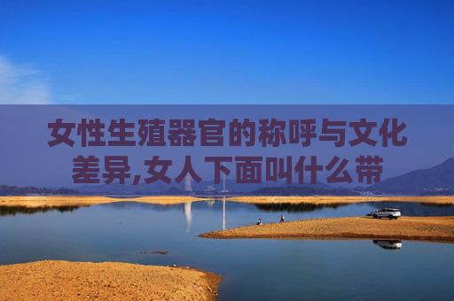 女性生殖器官的称呼与文化差异,女人下面叫什么带