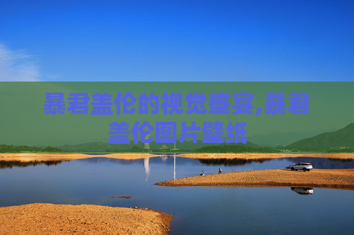 暴君盖伦的视觉盛宴,暴君盖伦图片壁纸