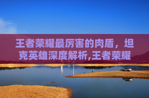 王者荣耀最厉害的肉盾，坦克英雄深度解析,王者荣耀最厉害的肉盾射手