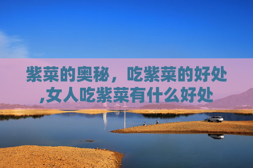 紫菜的奥秘，吃紫菜的好处,女人吃紫菜有什么好处
