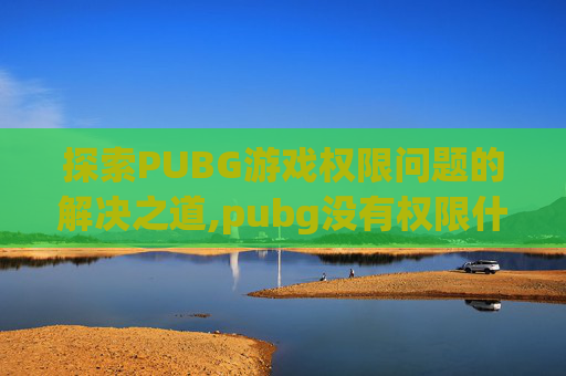 探索PUBG游戏权限问题的解决之道,pubg没有权限什么意思